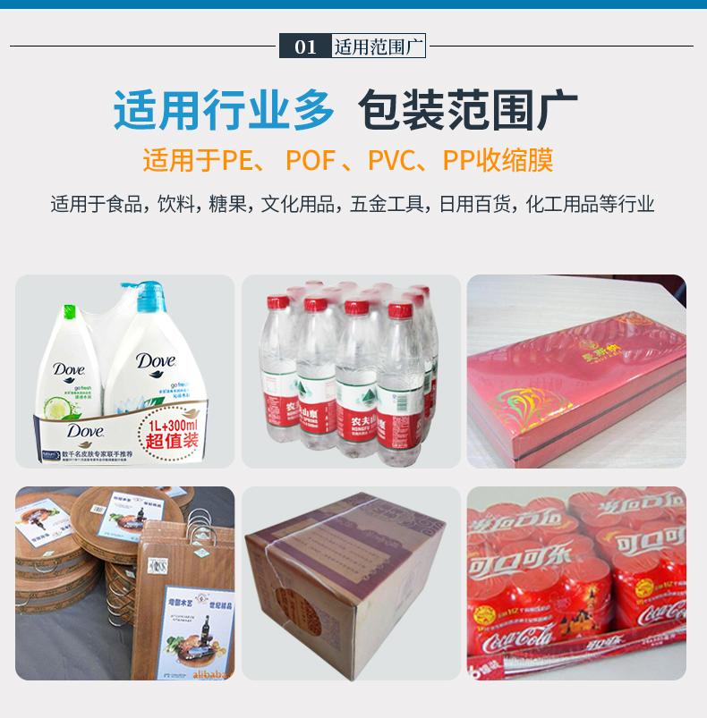 BSE5038PE膜2_02.jpg BSE5038PE膜2_02.jpg